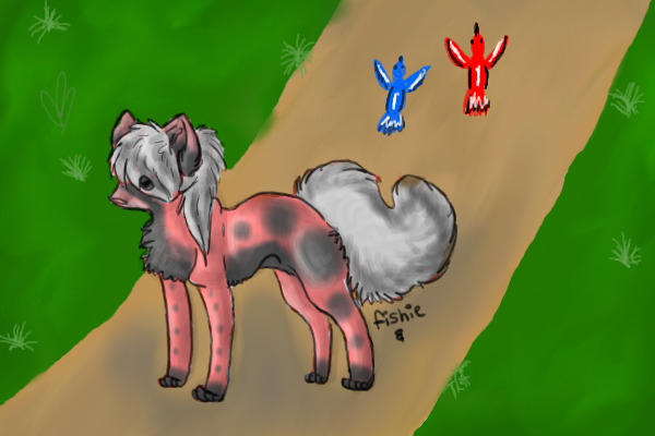 Dog
