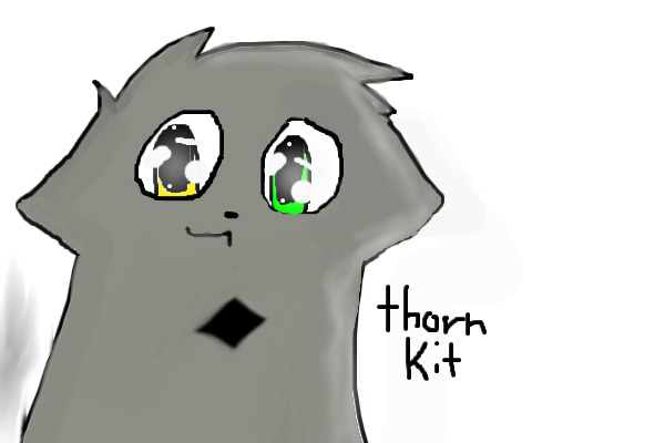 ThornKit, my character cat ^_^
