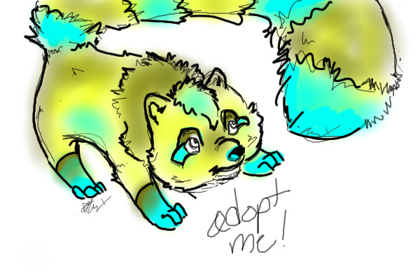Adoptable 2