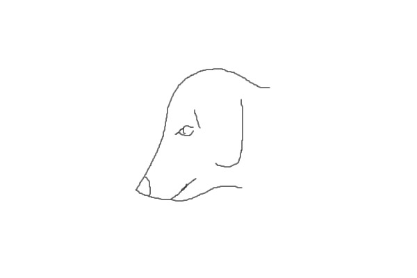 Doggy