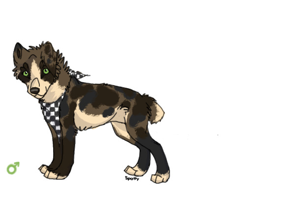 For Cadycatt