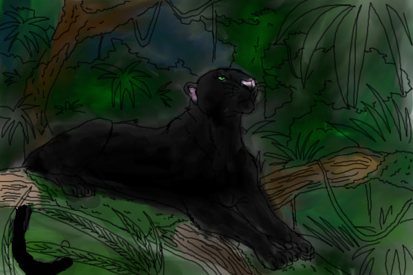 Black Leopard in Forest