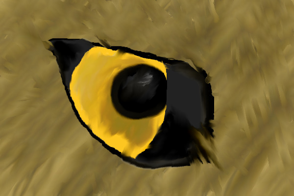 Random-eye-thingy