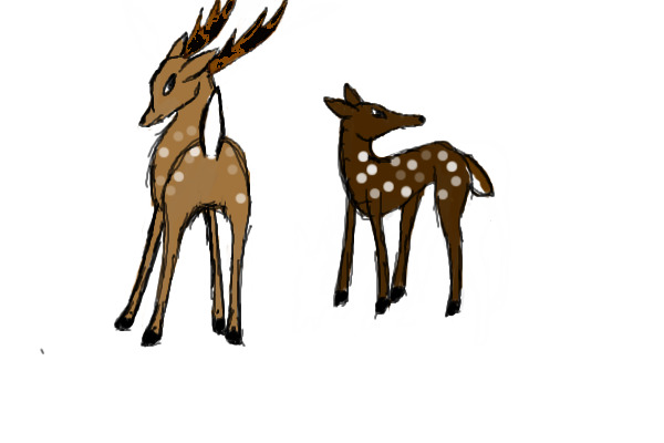 Deer