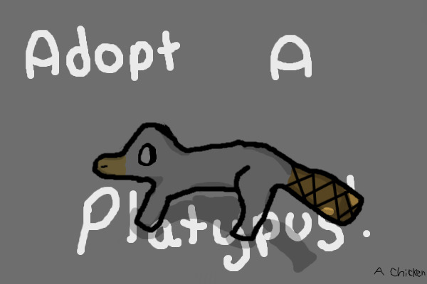 Adopt A Platypus!! ^^
