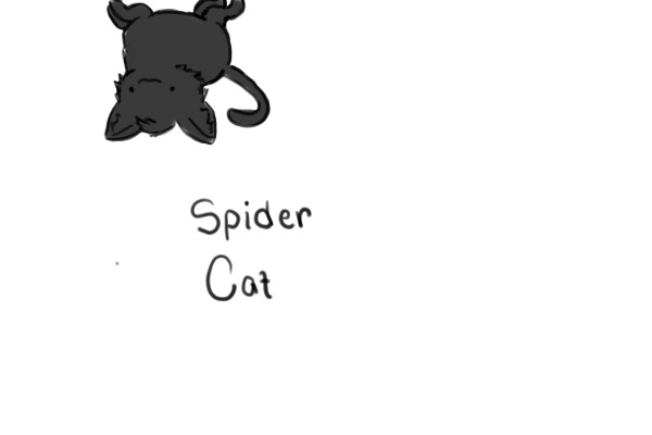 Spider Cat