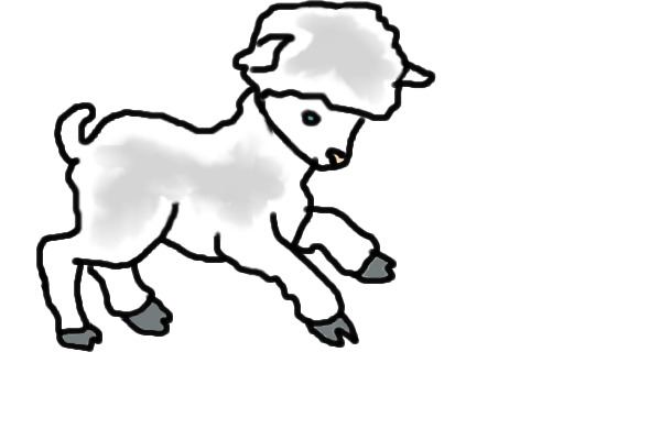 Lamb