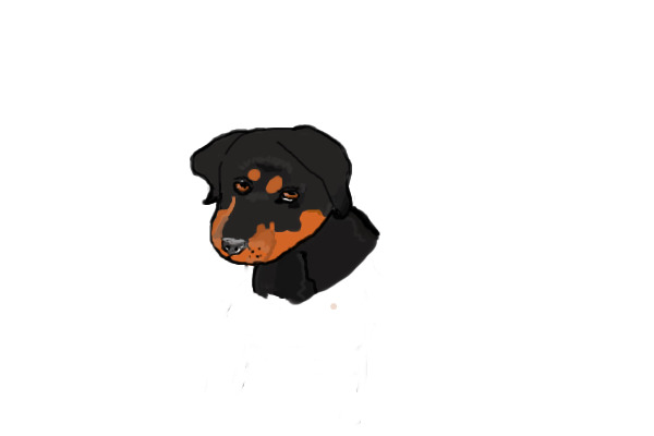 Comment on the rottie