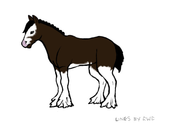Sabino Draft