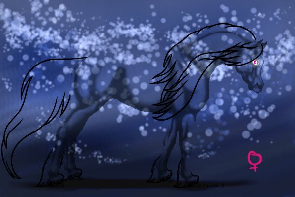 Dunce of the Darkness