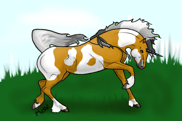 Foal Contest Entry