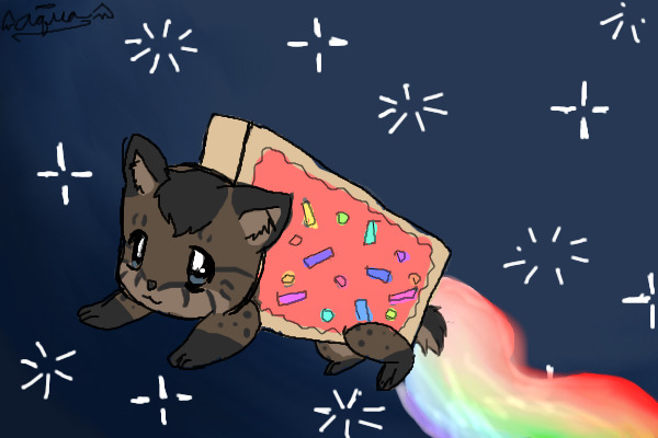 Wild Nyan