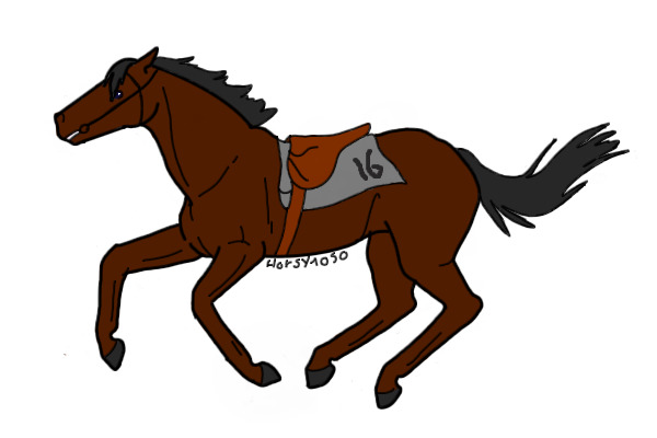 Racehorse 16