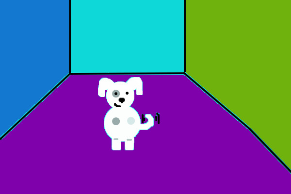 Puppy in room