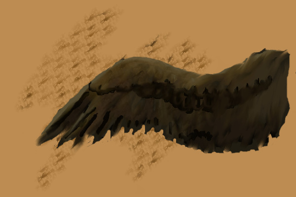 Random practice of a big brown wing.