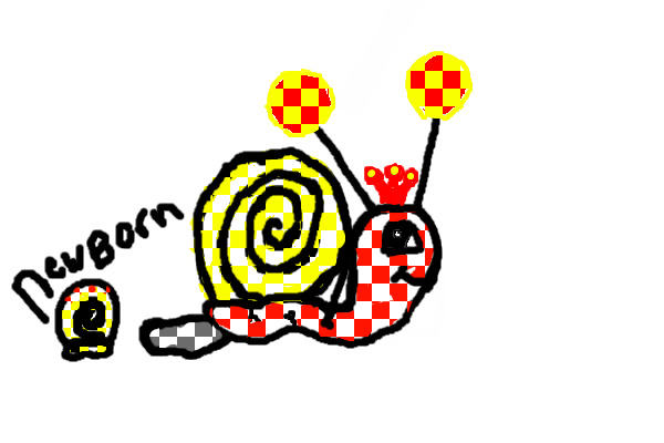adopt a snail