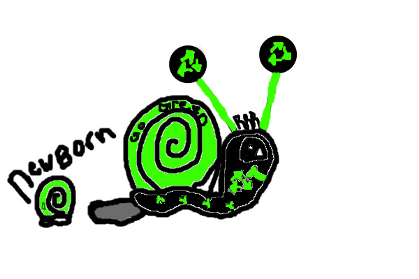 adopt a snail