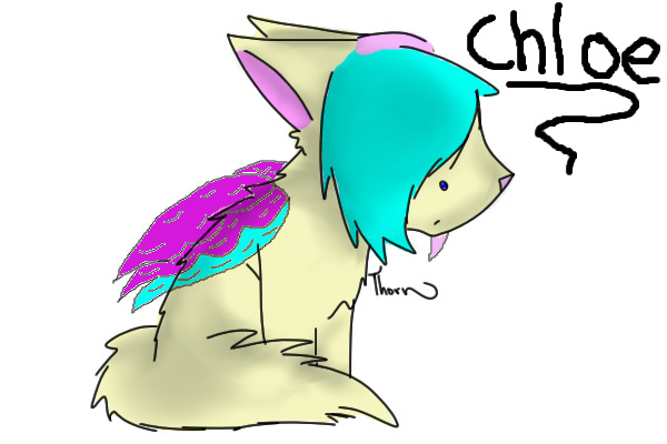 My Fursie Chloe <3