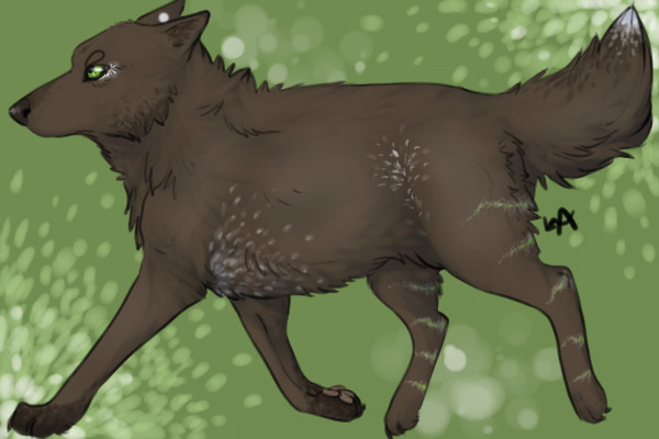 Up for Adoption ~ female ~ aurion wolf