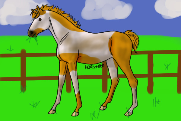 Splash the dirty foal