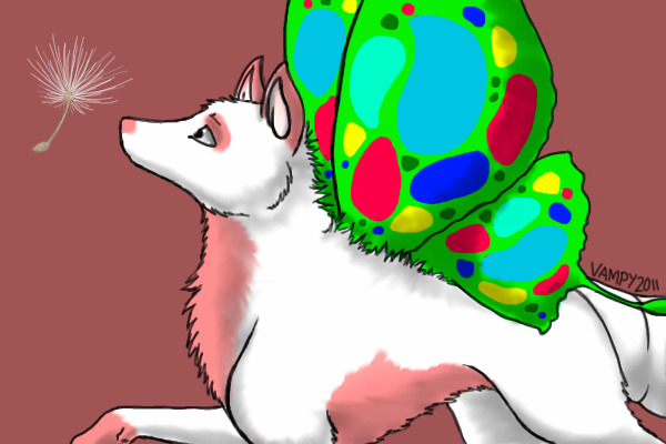 A Butterfly Wolf