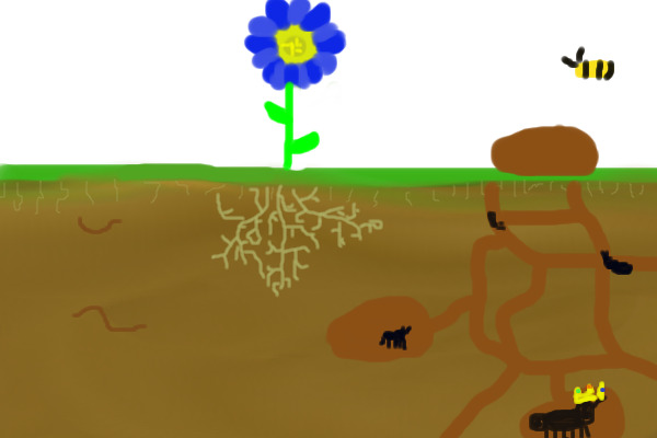 Roots,ants,and the bee.