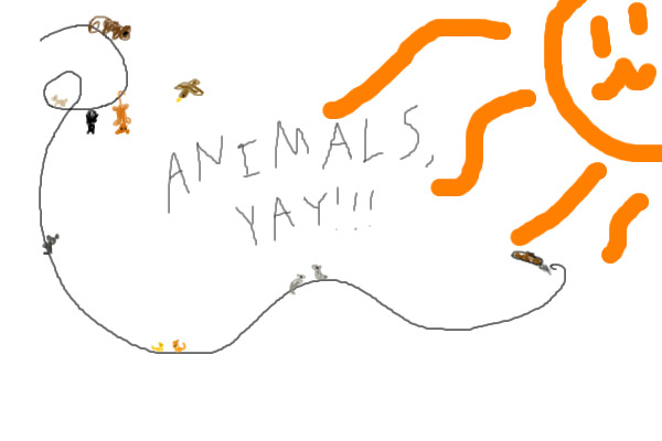 Random Animals