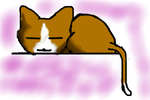 Kitty!