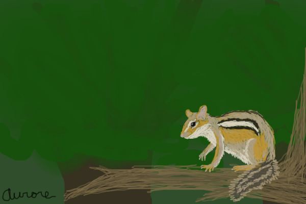 Chipmunk