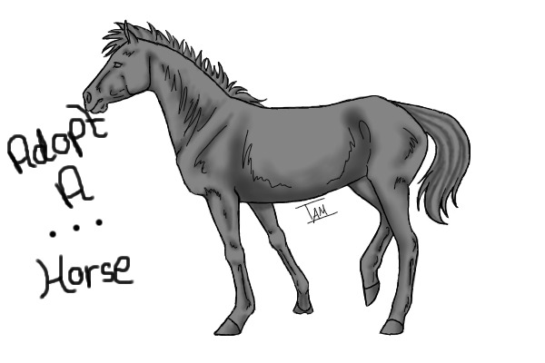 Horse Adoptables (*V.2*)