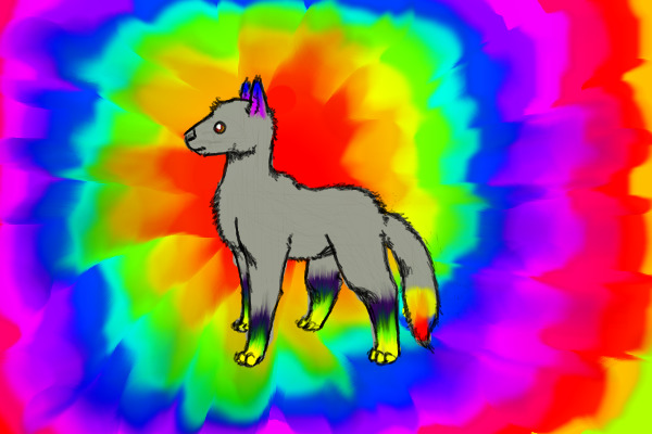 Tie Die Dog