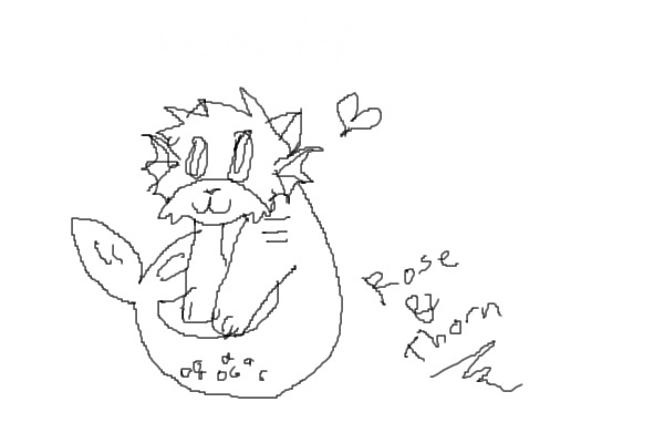 the cat fish loves you