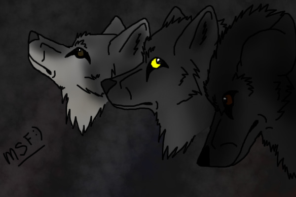 Three wolves
