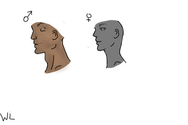 Human Practice