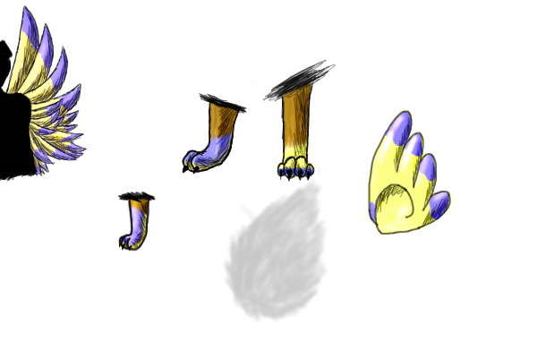 Practicing paws, wings and shading