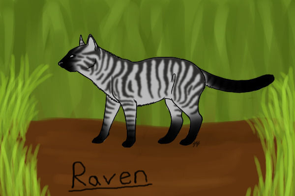 Raven: My new CatRp Character
