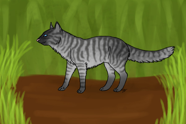 Kitty Cat