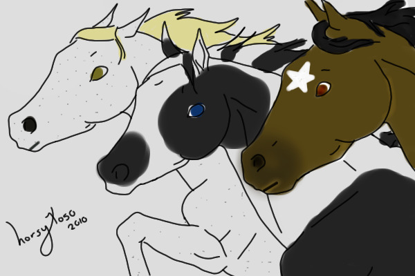 Three horses