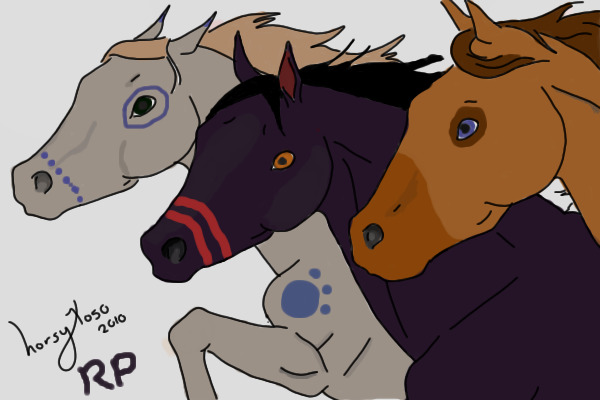 Mist Midnight and Taliath (The three wild Mustangs)