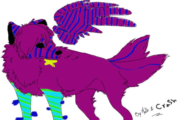 my dog