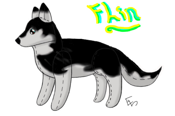 Flin, the husky