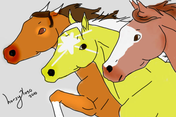 Three horses