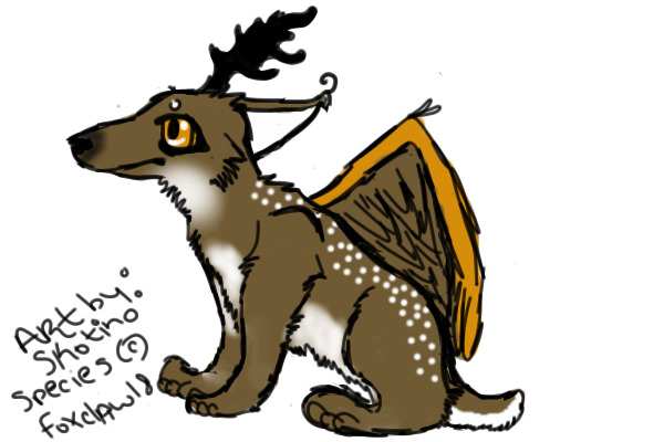 Deerf