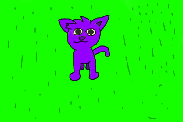 Purple Cat V2