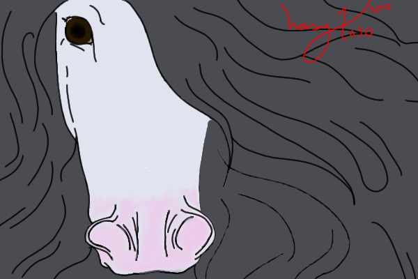 Grey Horse