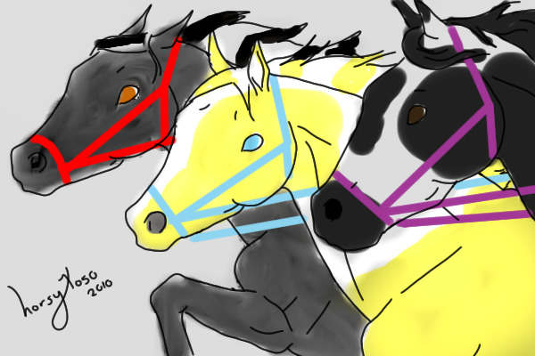Three horses