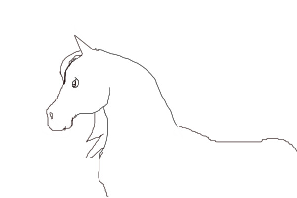 Contest!!!! Draw a horse!