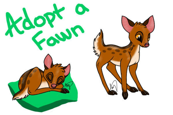 Adopt a Fawn!