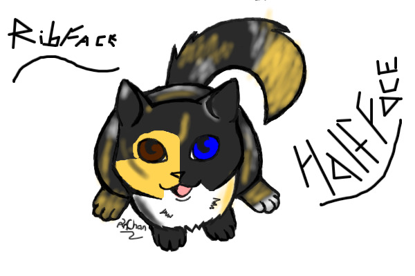 HalfFace
