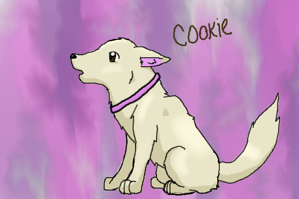 Cookie